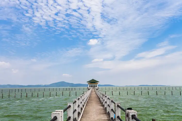 Hotels near Mashan Travel Holiday Resort