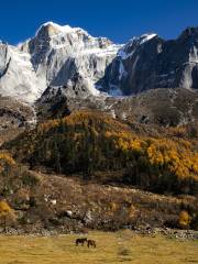 Yaomei Peak