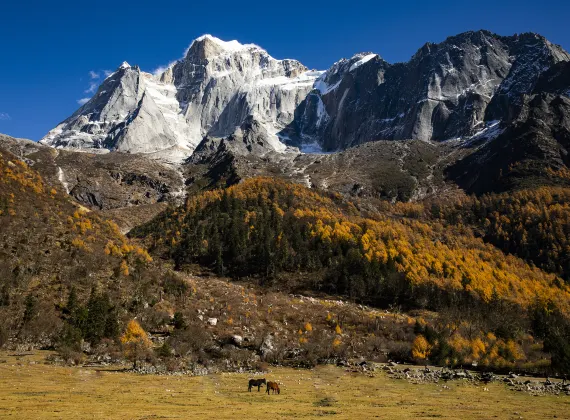 Отели с услугой ванной в г. Пинву