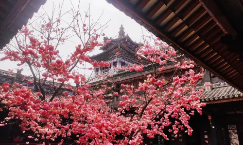 Zhang Jia Garden