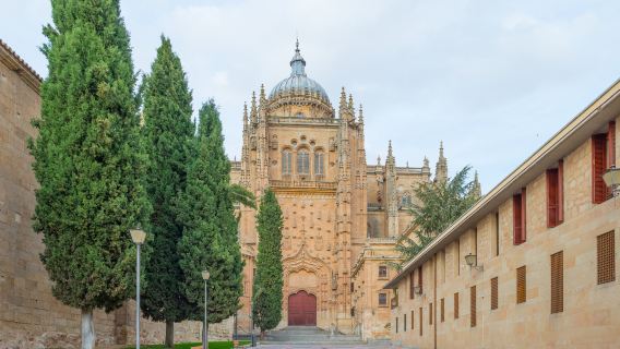 Tagesausflug von Salamanca, Ávila, der Altstadt, der Universität Salamanca, der Casa de la Concha und der Neuen Kathedrale von Salamanca