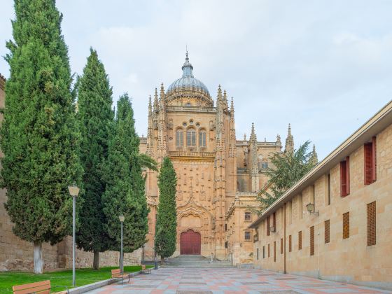 University of Salamanca