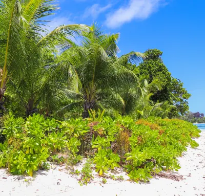 Các khách sạn ở Del Carmen