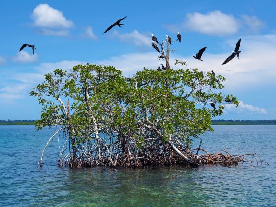 Weishan Island Scenic Area