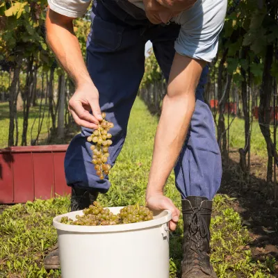 Отзывы об отеле The Pride