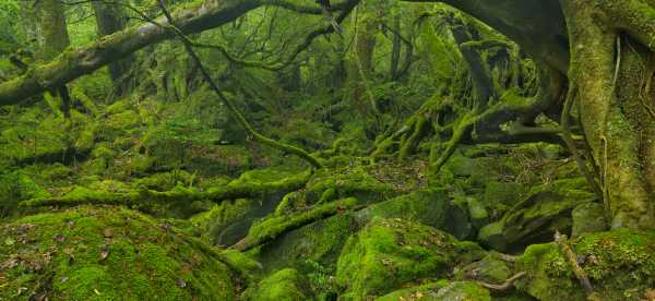 Hostels in Kagoshima Prefecture, Japan