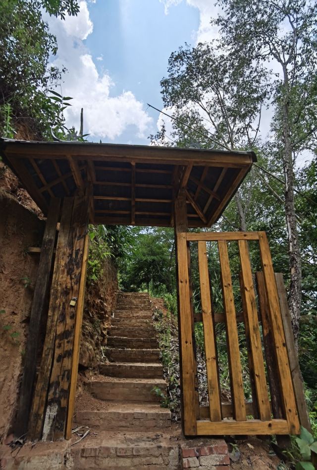남나산