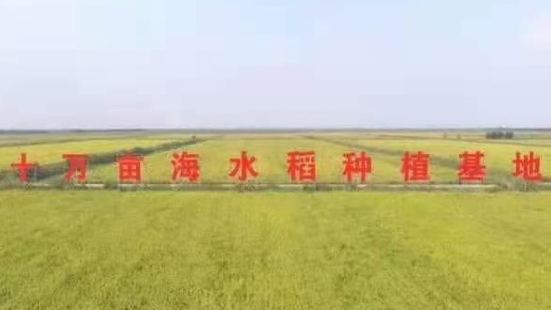 位于寒亭区禹王湿地公园的潍坊国家农业开放发展综合试验区，是由