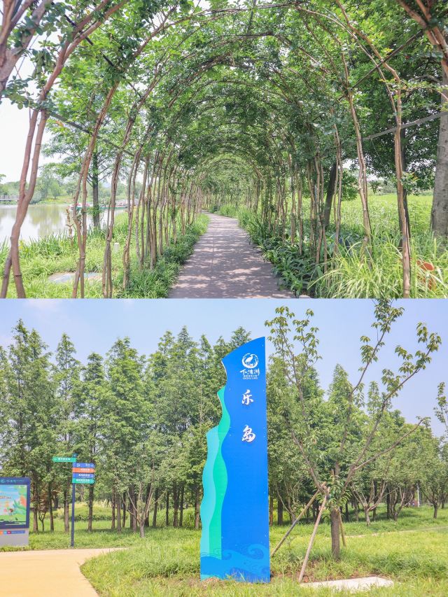 德清下渚湖濕地公園