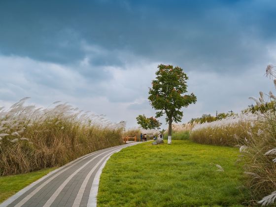 Hanjiang Wetland Park