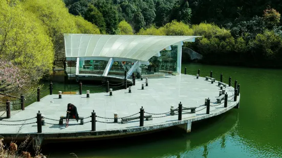 Wulaoshan National Forest Park