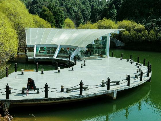 Wulaoshan National Forest Park