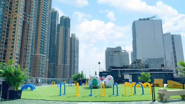 【2026寵物公園】12個狗公園推薦!全港室內外寵物好去處