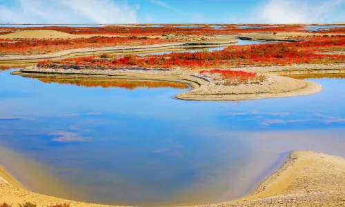 Ancient Juyan Lake Scenic Area