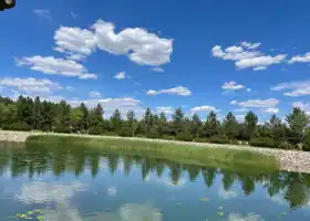 Yulin Sand Forest Park