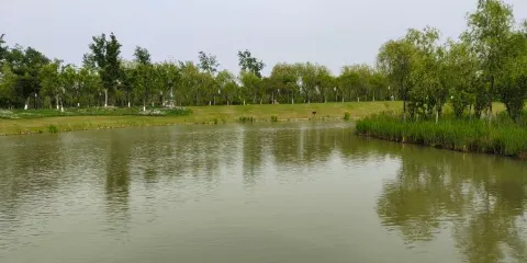 大馬溝