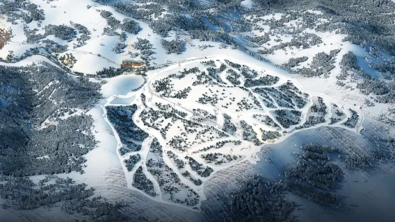 滑雪
