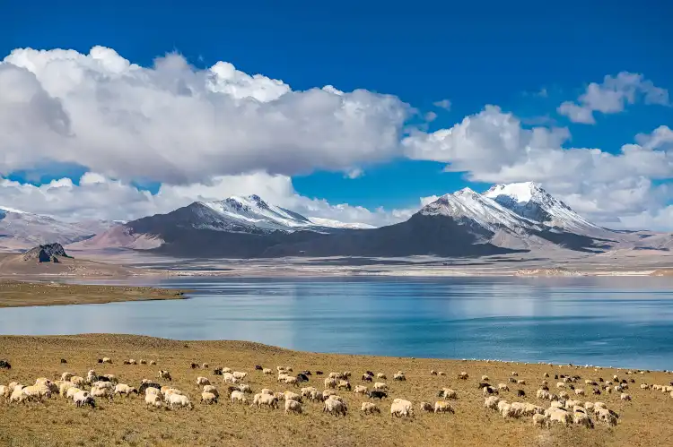 Hotels in Nyima County