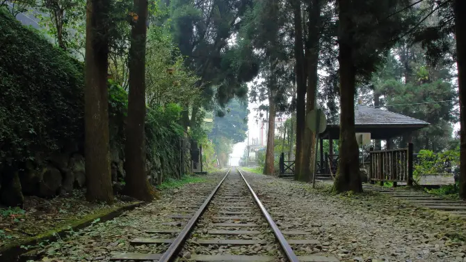 嘉義縣阿里山隙頂雲海最近的奮起湖站附近。圖片來源：Trip.com
