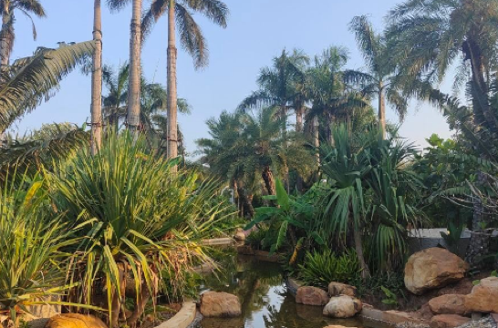 Ocean Flower Island Central Park