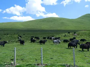 阿尼瑪卿山國家地質公園