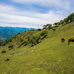 Huayang Meadow