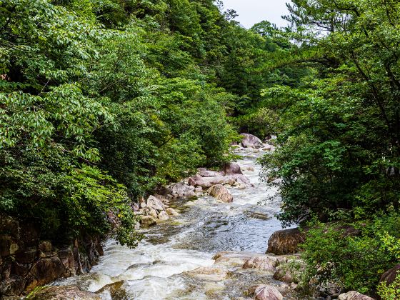 白馬大峽谷