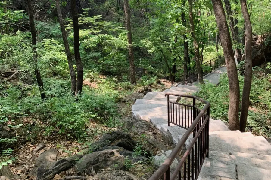 九龍山國家森林公園