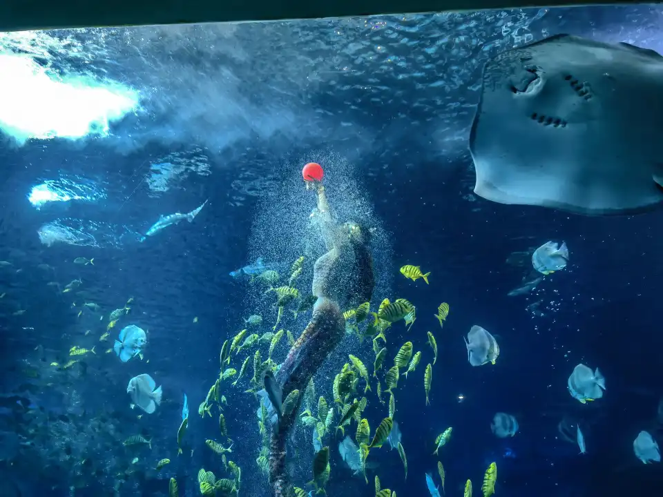 4_Beijing Andover Taipingyang Under Water World