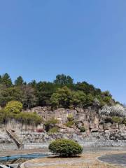 Jingdezhen Botanical Garden