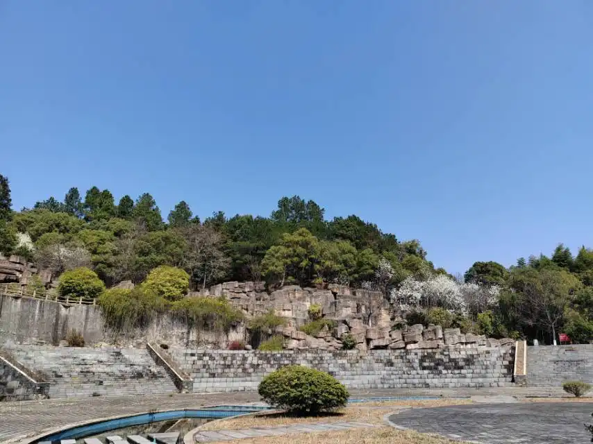 징더전 식물원 주변 호텔