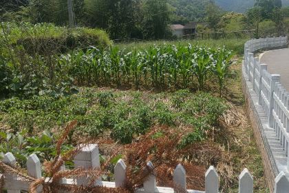 打鼓坪生态休闲农庄