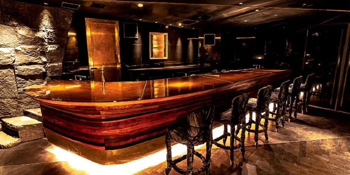 SEL OCTAGON TOKYO night club image 1