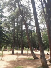 Parco Dighomi