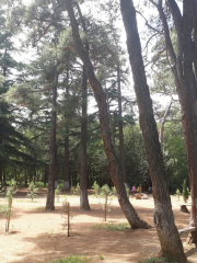 Dighomi Park