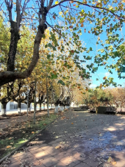 Plaza Pedro Montt, Plaza de Armas, Pitrufquén