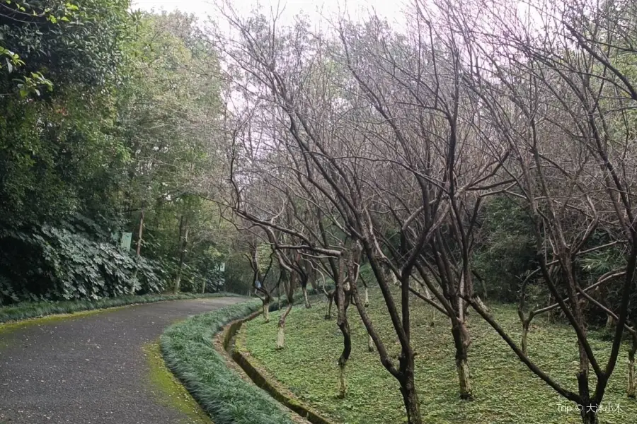 첸산 공원