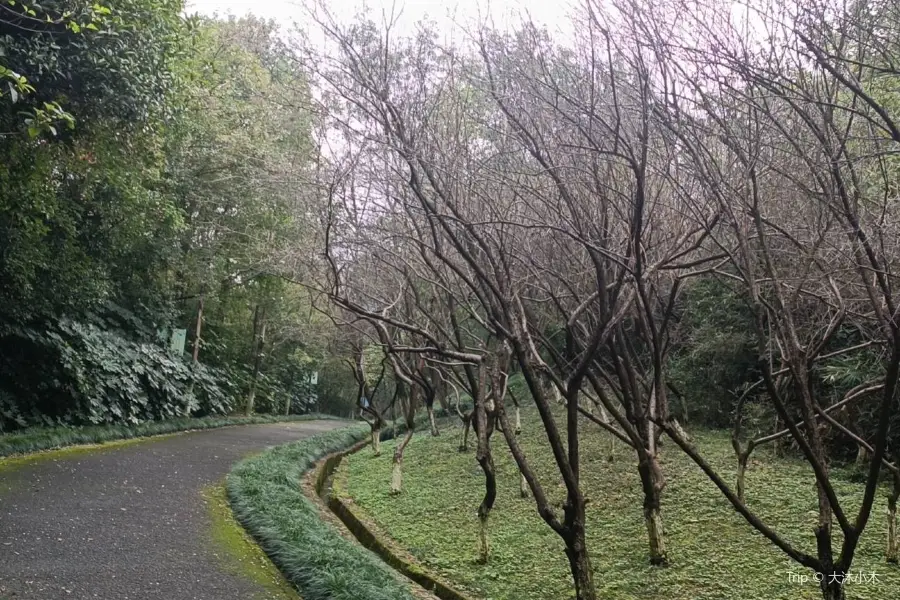 潜山公園‎