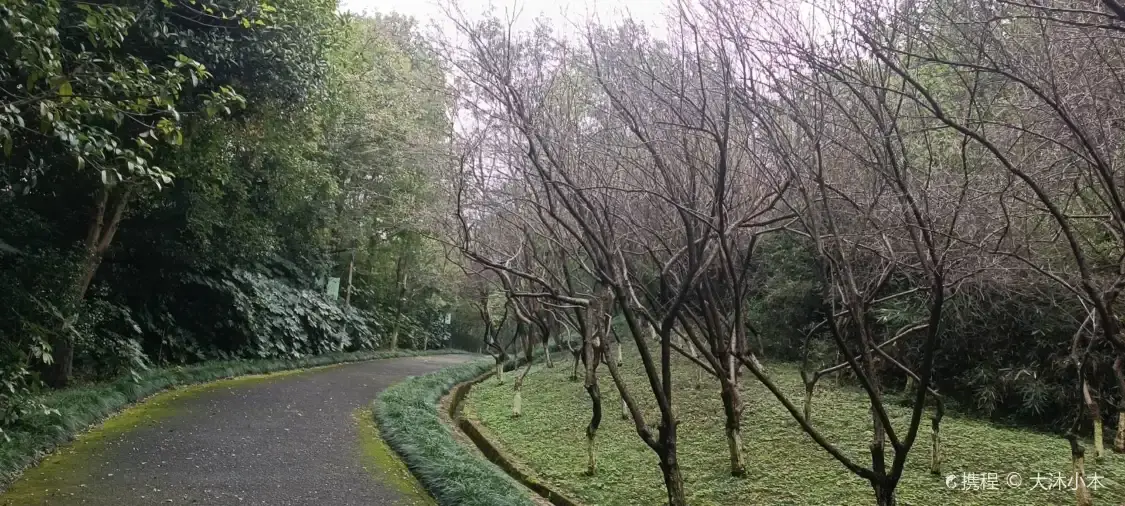 Hotels near Buried hill parks
