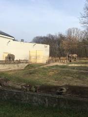 Jardín zoológico de Varsovia