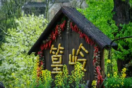 Where to Stay