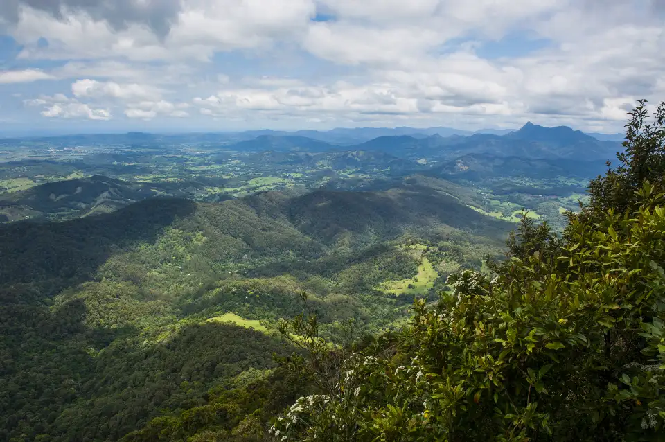 5_Springbrook National Park