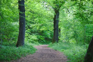 Abbots Leigh