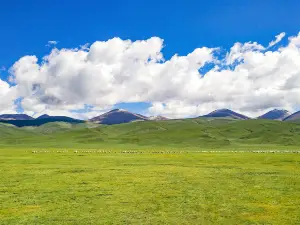 Куйлинь степень
