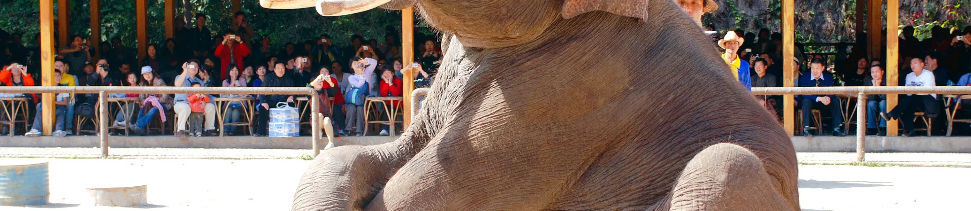 Family-Friendly Attractions