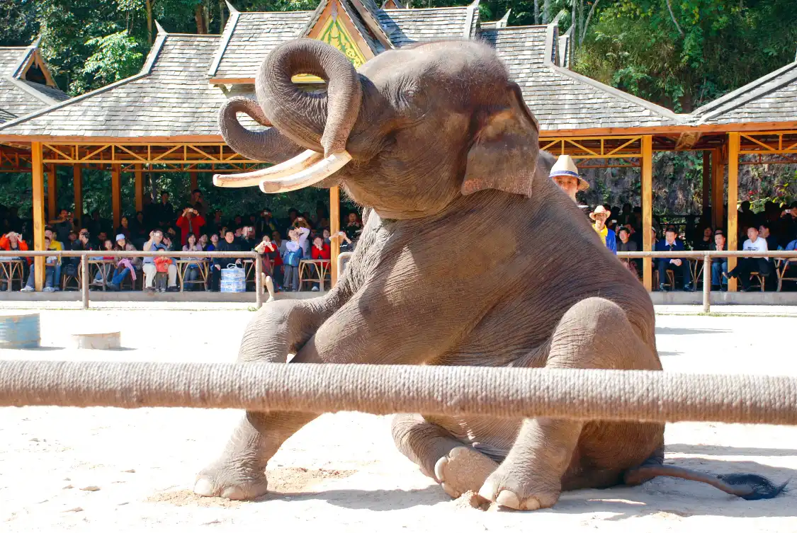 Hotel in zona Elephant Valley
