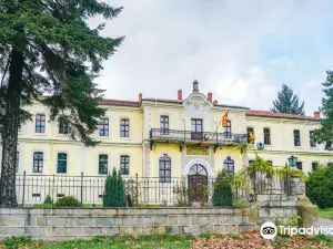 NI Institute & Museum Bitola
