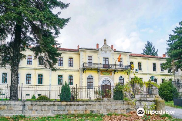 NI Institute & Museum Bitola
