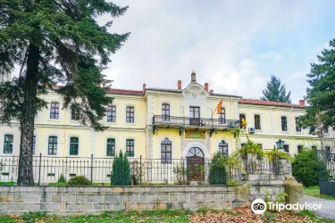 NI Institute & Museum Bitola