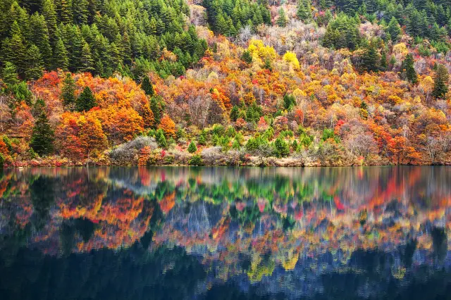 การชมใบไม้เปลี่ยนสีที่จิ่วจ้ายโกว